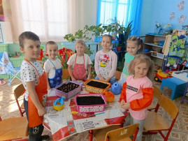 Сажаем лук. Сажаем лук.